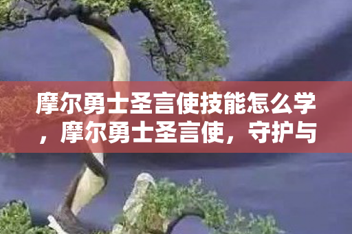 摩尔勇士圣言使技能怎么学，摩尔勇士圣言使，守护与传承的传奇