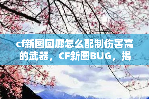 cf新图回廊怎么配制伤害高的武器，CF新图BUG，揭秘与应对