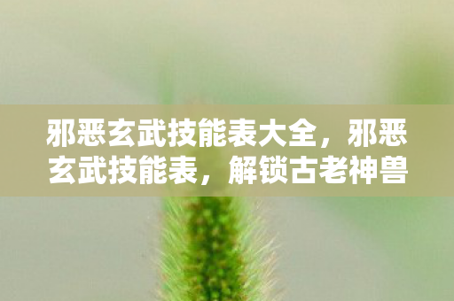 邪恶玄武技能表大全，邪恶玄武技能表，解锁古老神兽的奥秘