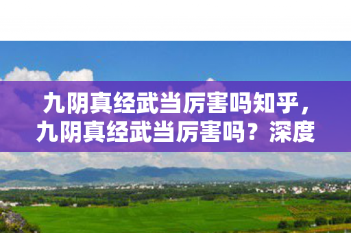 九阴真经武当厉害吗知乎，九阴真经武当厉害吗？深度解析武当派在游戏中的表现