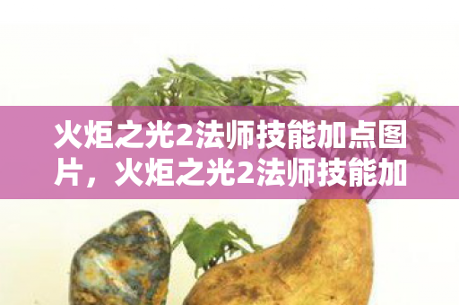 火炬之光2法师技能加点图片，火炬之光2法师技能加点图详解