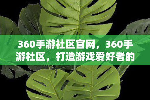 360手游社区官网，360手游社区，打造游戏爱好者的互动乐园