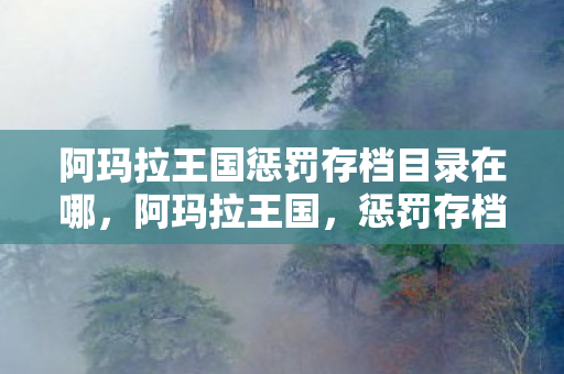 阿玛拉王国惩罚存档目录在哪，阿玛拉王国，惩罚存档位置详解