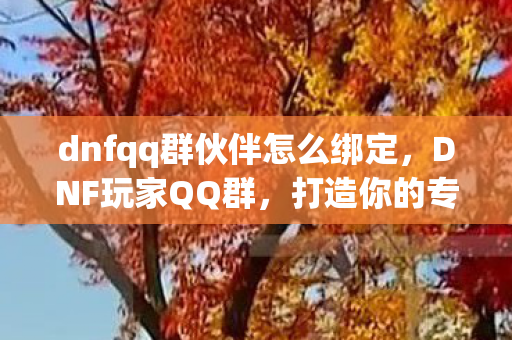 dnfqq群伙伴怎么绑定，DNF玩家QQ群，打造你的专属地下城冒险圈