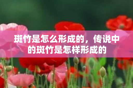 斑竹是怎么形成的，传说中的斑竹是怎样形成的