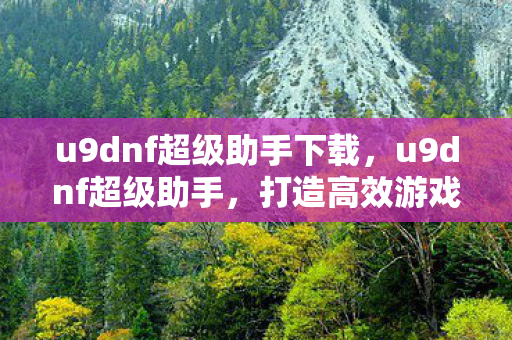 u9dnf超级助手下载，u9dnf超级助手，打造高效游戏生活的必备神器