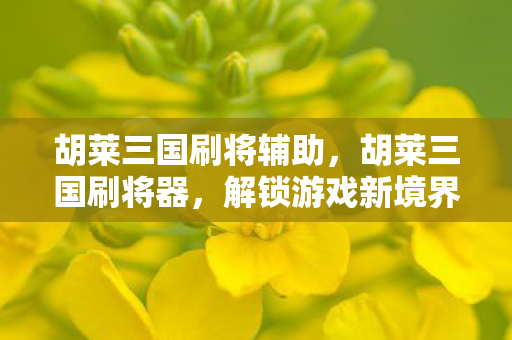 胡莱三国刷将辅助，胡莱三国刷将器，解锁游戏新境界的利器