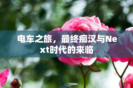 电车之旅，最终痴汉与Next时代的来临