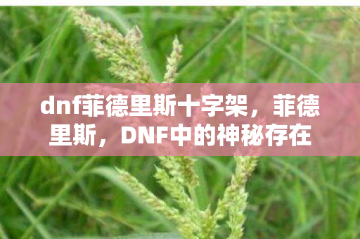dnf菲德里斯十字架，菲德里斯，DNF中的神秘存在