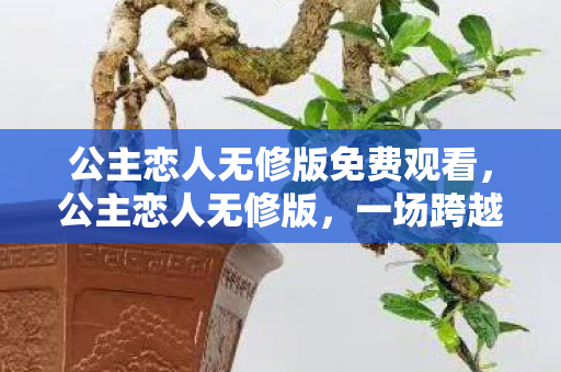 公主恋人无修版免费观看,公主恋人无修版,一场跨越阶层的浪漫冒险 公主恋人无修版免费观看,公主恋人无修版,一场跨越阶层的浪漫冒险