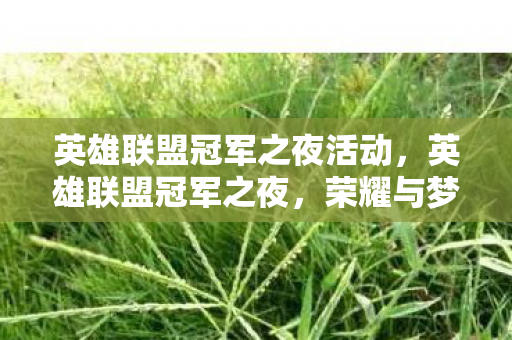 英雄联盟冠军之夜活动，英雄联盟冠军之夜，荣耀与梦想的交响曲