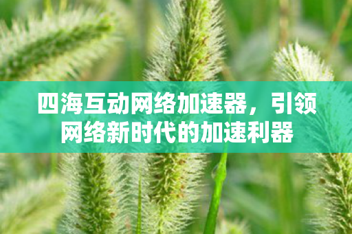 四海互动网络加速器，引领网络新时代的加速利器