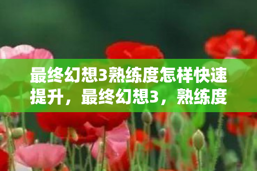 最终幻想3熟练度怎样快速提升，最终幻想3，熟练度系统深度解析