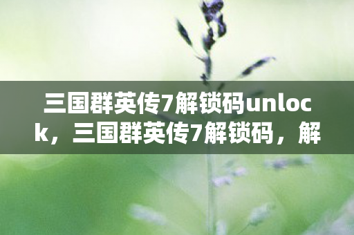 三国群英传7解锁码unlock，三国群英传7解锁码，解锁历史战役的密钥