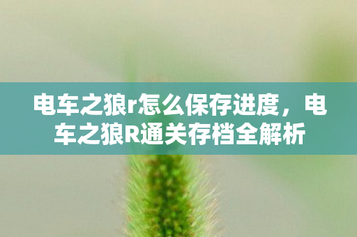 电车之狼r怎么保存进度，电车之狼R通关存档全解析