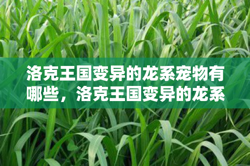 洛克王国变异的龙系宠物有哪些，洛克王国变异的龙系宠物，神秘而强大的存在