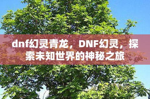 dnf幻灵青龙，DNF幻灵，探索未知世界的神秘之旅