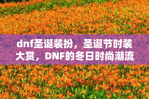 dnf圣诞装扮，圣诞节时装大赏，DNF的冬日时尚潮流