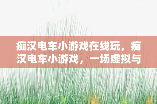 痴汉电车小游戏在线玩，痴汉电车小游戏，一场虚拟与现实交织的社交实验