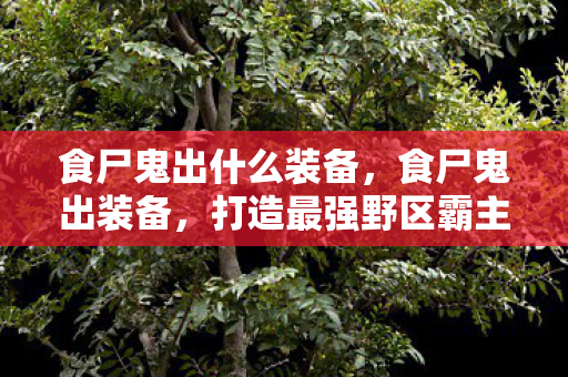 食尸鬼出什么装备,食尸鬼出装备,打造最强野区霸主 食尸鬼出什么装备,食尸鬼出装备,打造最强野区霸主