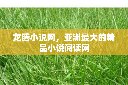 龙腾小说网，亚洲最大的精品小说阅读网