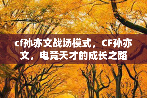 cf孙亦文战场模式，CF孙亦文，电竞天才的成长之路