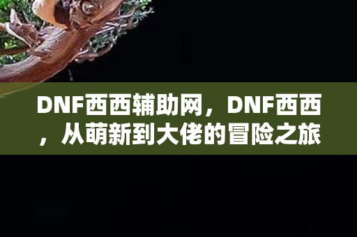 DNF西西辅助网，DNF西西，从萌新到大佬的冒险之旅
