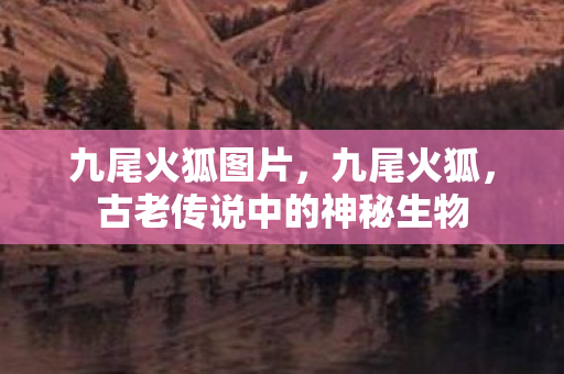 九尾火狐图片，九尾火狐，古老传说中的神秘生物