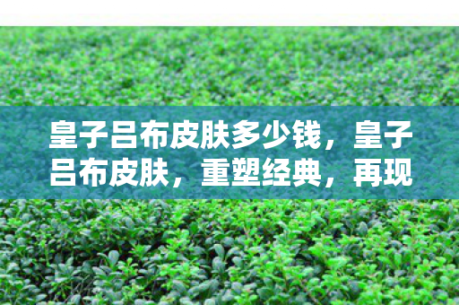 皇子吕布皮肤多少钱，皇子吕布皮肤，重塑经典，再现霸气的传奇之旅