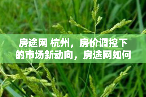 房途网 杭州，房价调控下的市场新动向，房途网如何助力购房者精准置业？