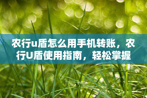 农行u盾怎么用手机转账，农行U盾使用指南，轻松掌握网银安全操作