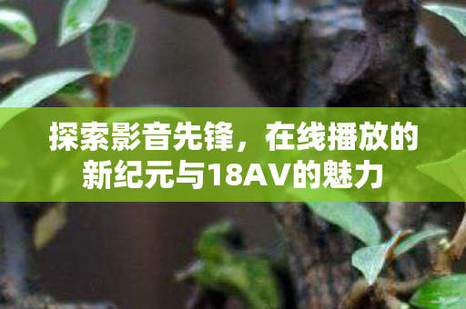 探索影音先锋，在线播放的新纪元与18AV的魅力