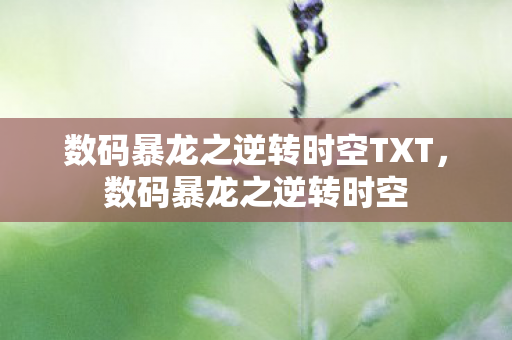 数码暴龙之逆转时空TXT，数码暴龙之逆转时空