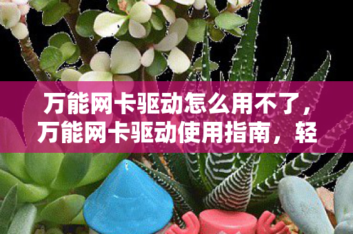 万能网卡驱动怎么用不了，万能网卡驱动使用指南，轻松解决网络问题