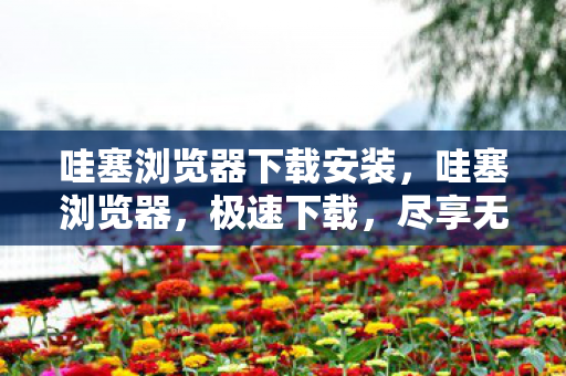 哇塞浏览器下载安装，哇塞浏览器，极速下载，尽享无限精彩