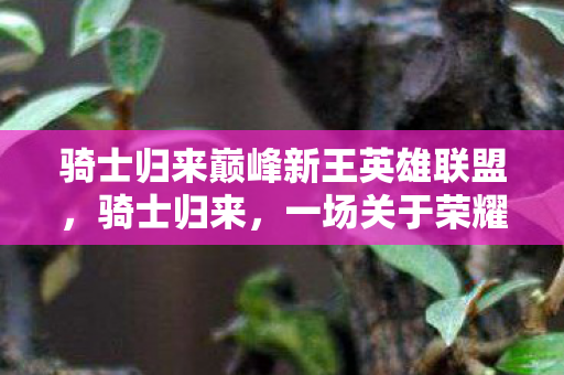 骑士归来巅峰新王英雄联盟，骑士归来，一场关于荣耀与信仰的复兴