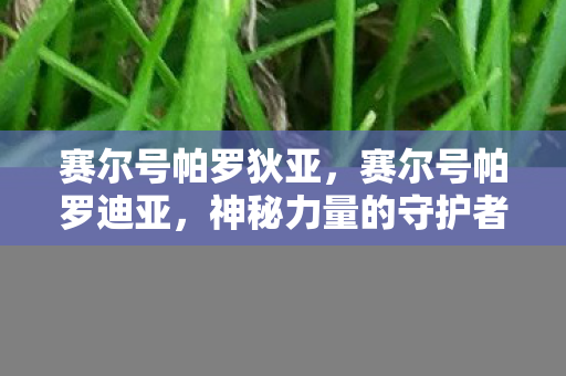 赛尔号帕罗狄亚，赛尔号帕罗迪亚，神秘力量的守护者