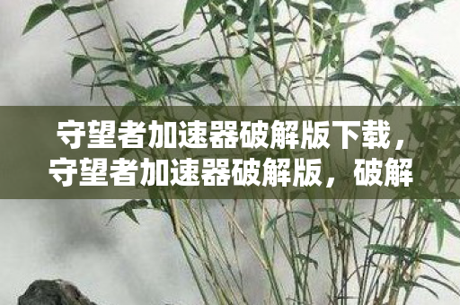 守望者加速器破解版下载，守望者加速器破解版，破解背后的真相与风险