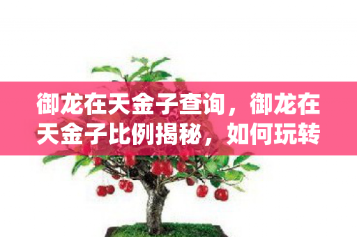 御龙在天金子查询，御龙在天金子比例揭秘，如何玩转游戏经济系统