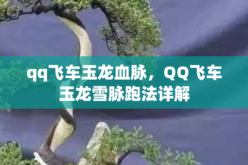 qq飞车玉龙血脉，QQ飞车玉龙雪脉跑法详解