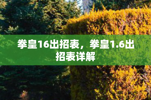 拳皇16出招表，拳皇1.6出招表详解