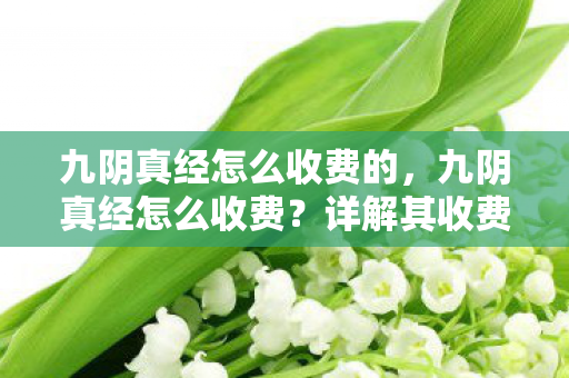 九阴真经怎么收费的，九阴真经怎么收费？详解其收费模式与游戏特色