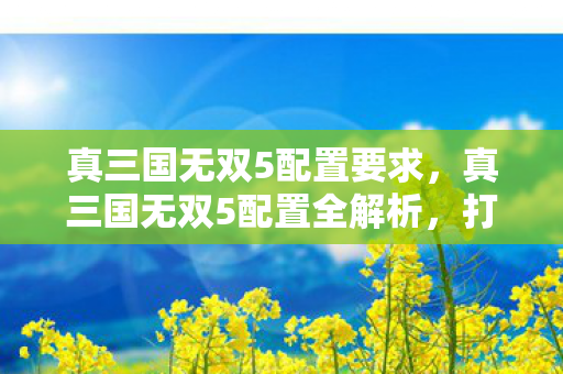 真三国无双5配置要求，真三国无双5配置全解析，打造流畅游戏体验