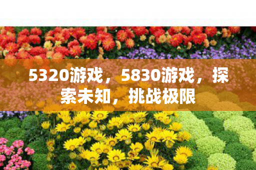 5320游戏，5830游戏，探索未知，挑战极限