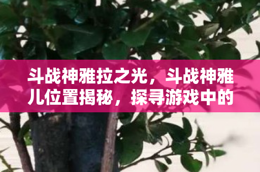 斗战神雅拉之光,斗战神雅儿位置揭秘,探寻游戏中的神秘NPC 斗战神雅拉之光,斗战神雅儿位置揭秘,探寻游戏中的神秘NPC