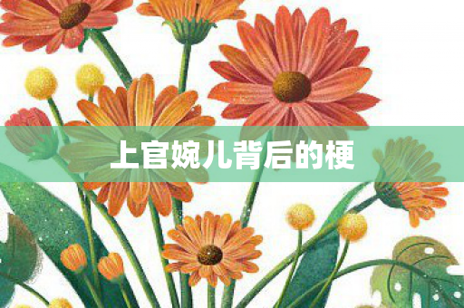 上官婉儿背后的梗