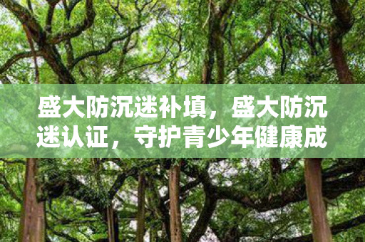 盛大防沉迷补填，盛大防沉迷认证，守护青少年健康成长的数字盾牌