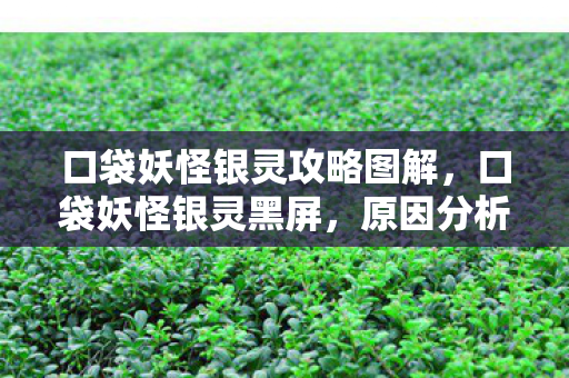 口袋妖怪银灵攻略图解，口袋妖怪银灵黑屏，原因分析与解决策略