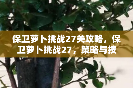 保卫萝卜挑战27关攻略，保卫萝卜挑战27，策略与技巧的全面解析