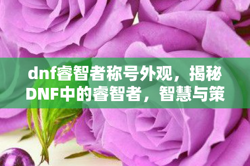 dnf睿智者称号外观，揭秘DNF中的睿智者，智慧与策略的化身